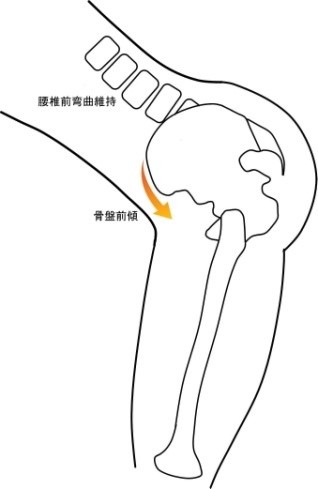 CKC腰椎骨盤連鎖