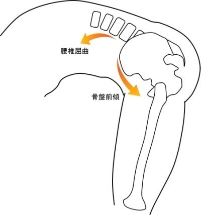 OKC腰椎骨盤連鎖