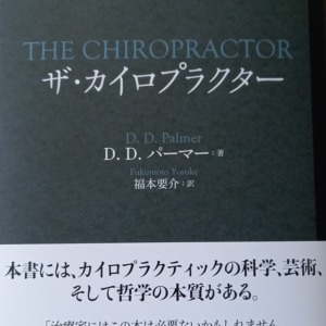 the_chiropractor_item